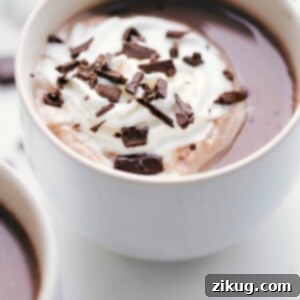 A mug of hot chocolate with whipped cream and chocolate shavings.