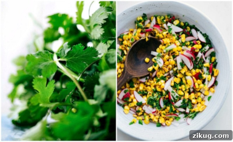 Overhead image of fresh cilantro and the prepared corn mix for Healthy Tacos.