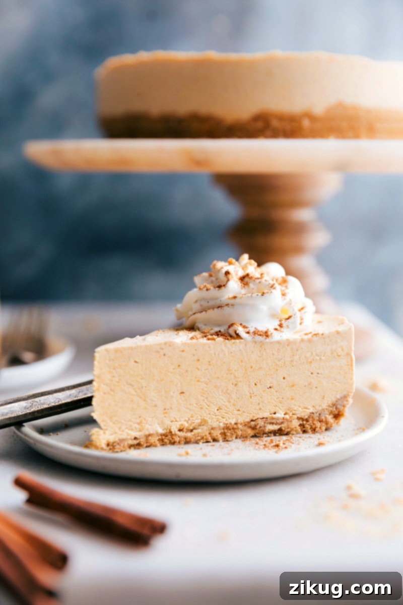 A tempting slice of no-bake pumpkin cheesecake with a generous swirl of whipped cream, perfectly complementing the rich, creamy texture. The whole cheesecake sits invitingly in the background, ready to be savored.