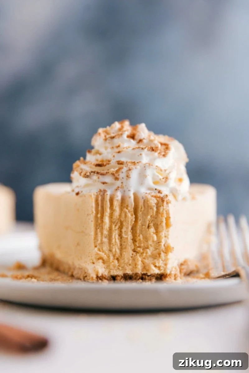 A delicious slice of no-bake pumpkin cheesecake with a bite taken out, revealing its incredibly creamy goodness and the perfect graham cracker crust. It's an irresistible and satisfying dessert.