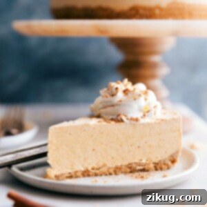A beautiful no-bake pumpkin cheesecake slice, showing the creamy filling and a sturdy graham cracker crust, ready to be enjoyed.