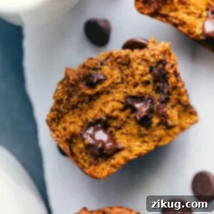 Healthy pumpkin muffin split open to reveal the soft and moist interior with melting chocolate chips, ready to be eaten.