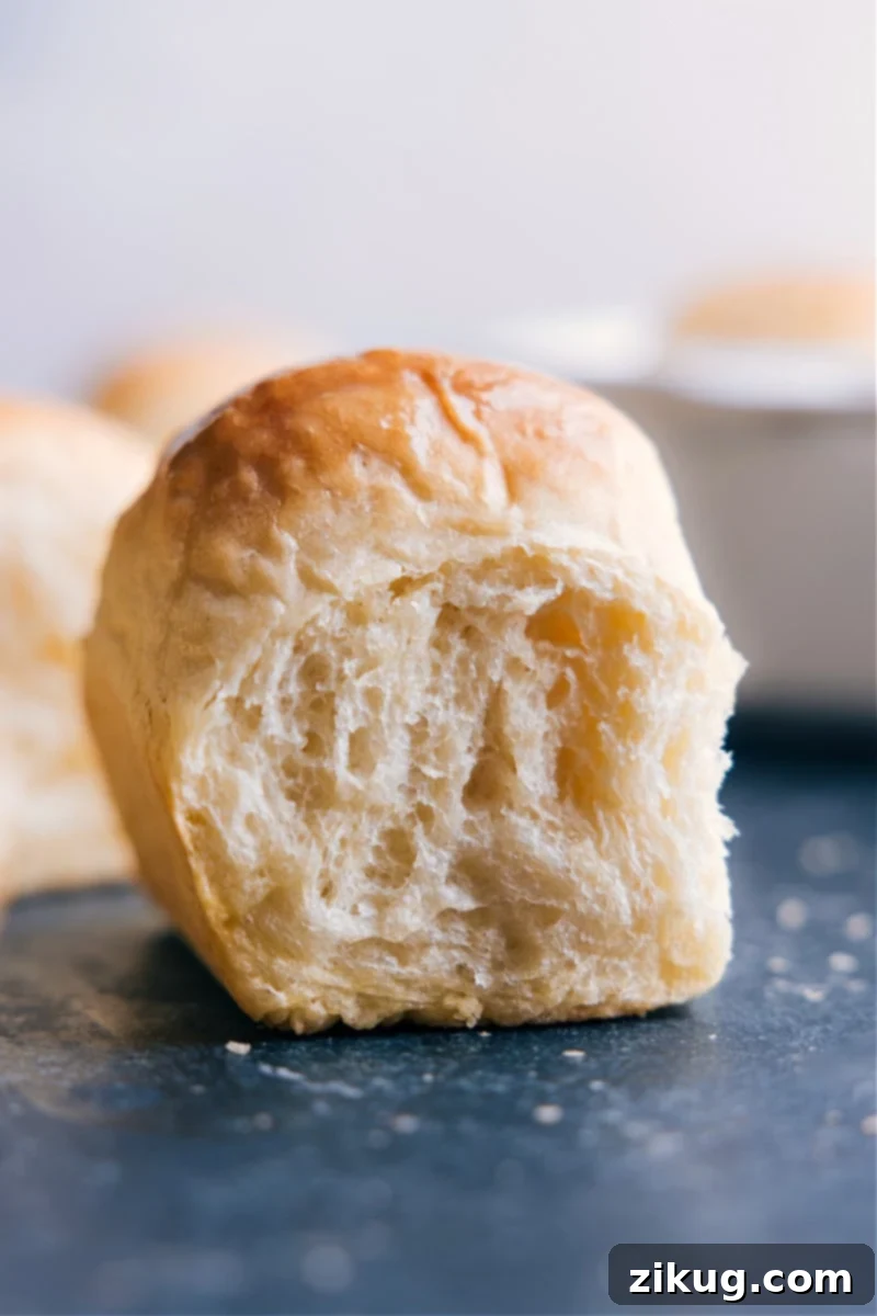 Image of golden-brown Life-Changing No-Knead Dinner Rolls fresh from the oven, ready to be enjoyed