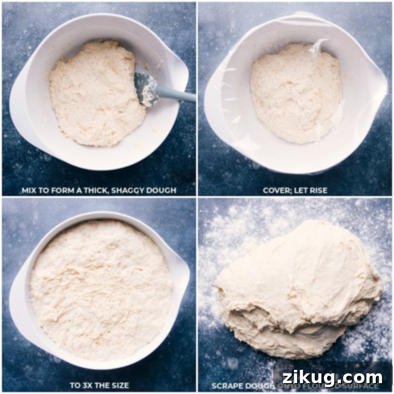 Process shots demonstrating the covered dough rising in a bowl for the first proof, essential for light and fluffy no-knead dinner rolls