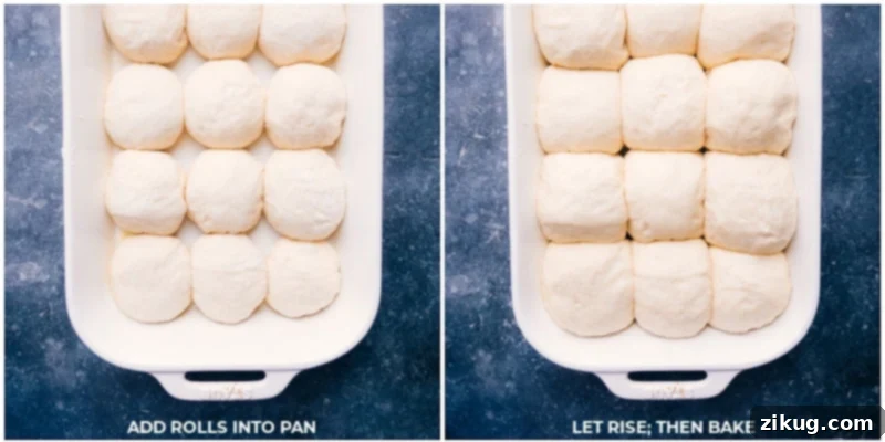 Process shots displaying the no-knead dinner rolls rising beautifully in a baking pan before going into the oven, promising a fluffy texture