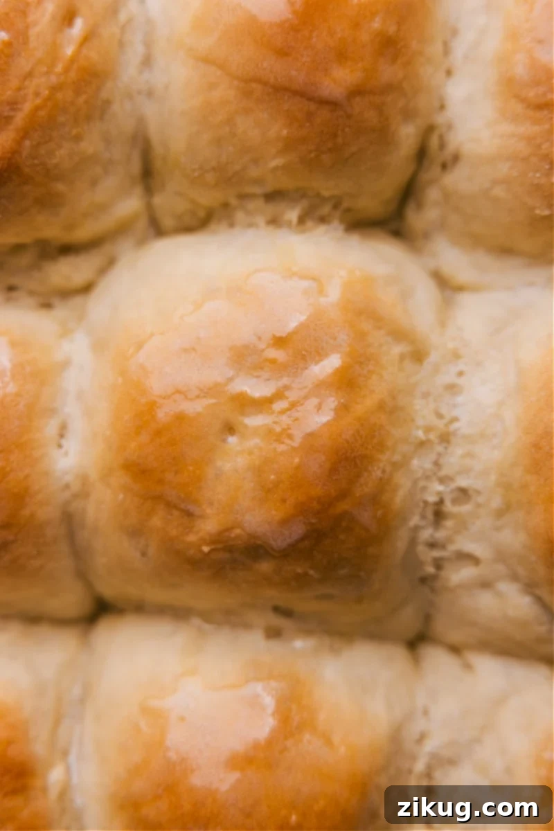 Up-close overhead image of a pan filled with freshly baked Life-Changing No-Knead Dinner Rolls, glistening with butter