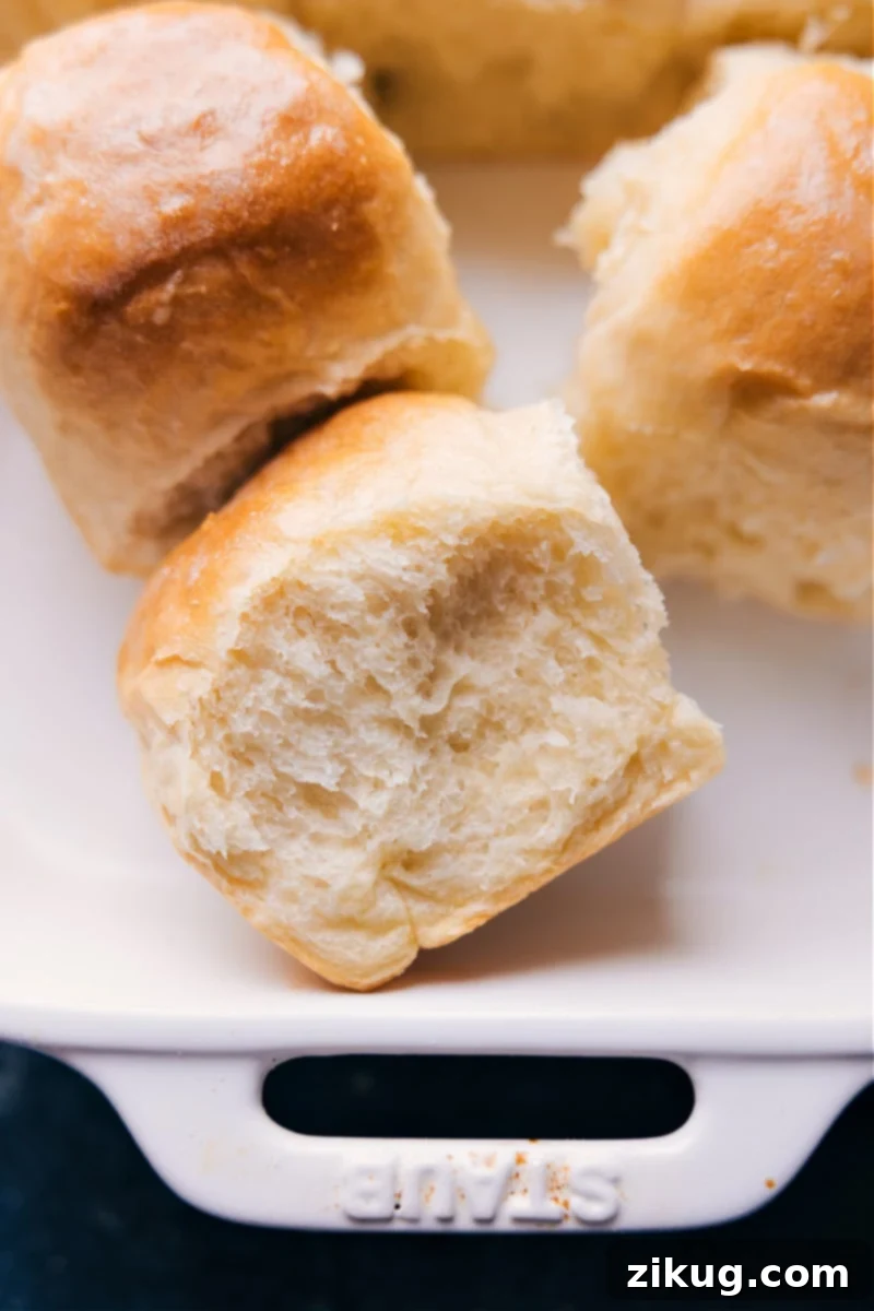 Overhead image of freshly baked no-knead dinner rolls arranged in a pan, glistening with butter and ready to be served