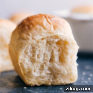 A freshly baked dinner roll