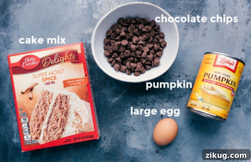 Essential ingredients for cake mix pumpkin cookies: a box of spice cake mix, a can of pure pumpkin puree, a large egg, and a bag of chocolate chips, neatly arranged.