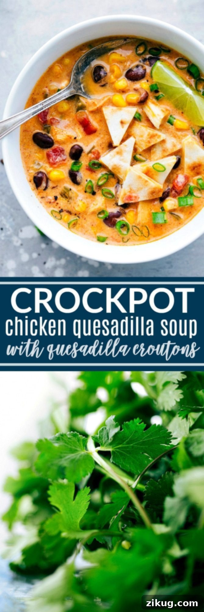 Southwest Chicken Quesadilla Soup 2 The BEST EVER Crockpot Creamy Chicken Quesadilla Soup! Dump it and forget about it and then serve with 2-ingredient quesadilla croutons! chelseasmessyapron.com