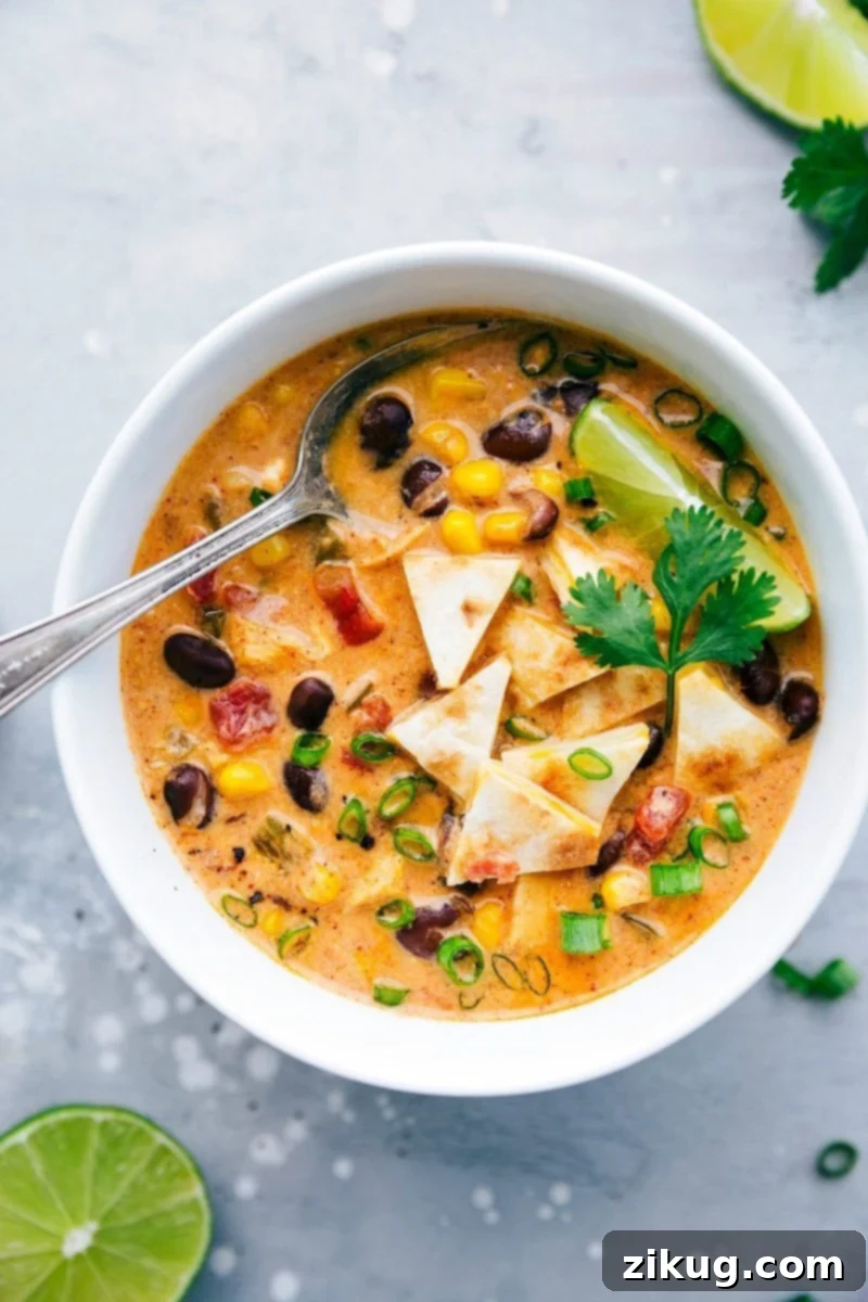 The BEST EVER Chicken Quesadilla Soup! Dump it and forget about it and then serve with 2-ingredient quesadilla croutons! chelseasmessyapron.com #chicken #quesadilla #soup #crockpot #slowcooker Overhead image of a bowl of creamy chicken quesadilla soup topped with cheese, sour cream, and cilantro, with a spoon in it and quesadilla pieces on the side