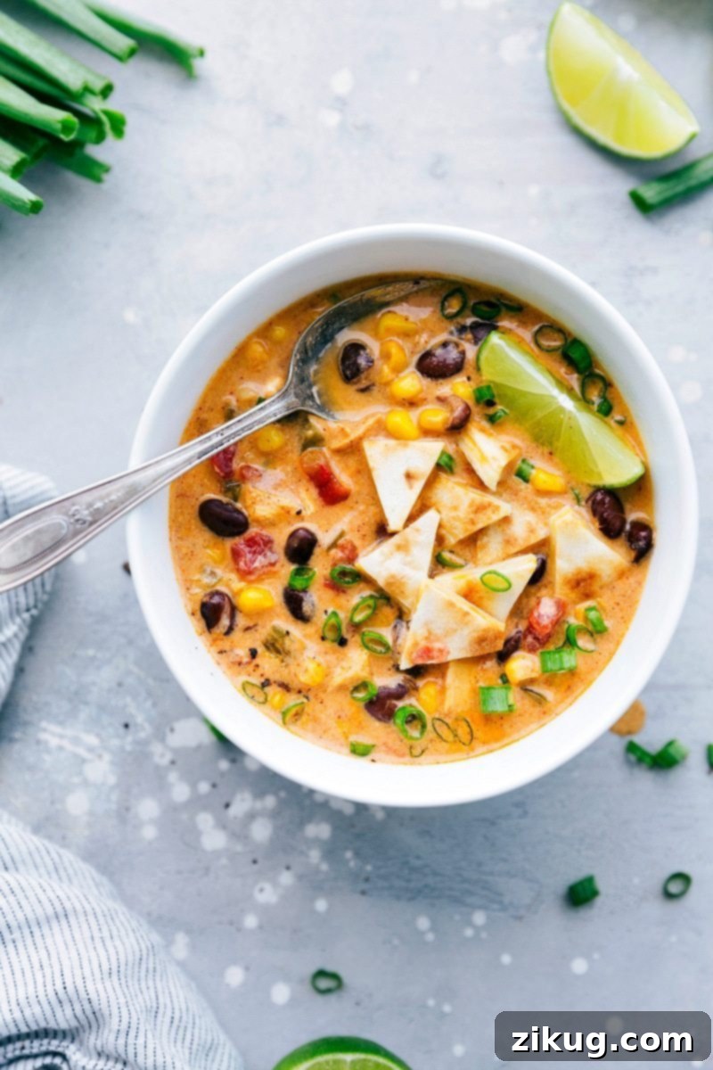 The BEST EVER Spicy Chicken Quesadilla Soup recipe! Dump it and forget about it and then serve with 2-ingredient quesadilla croutons! via chelseasmessyapron.com Image of a bowl of ready-to-eat cheesy chicken quesadilla soup, richly garnished with melted cheese, sour cream, and herbs