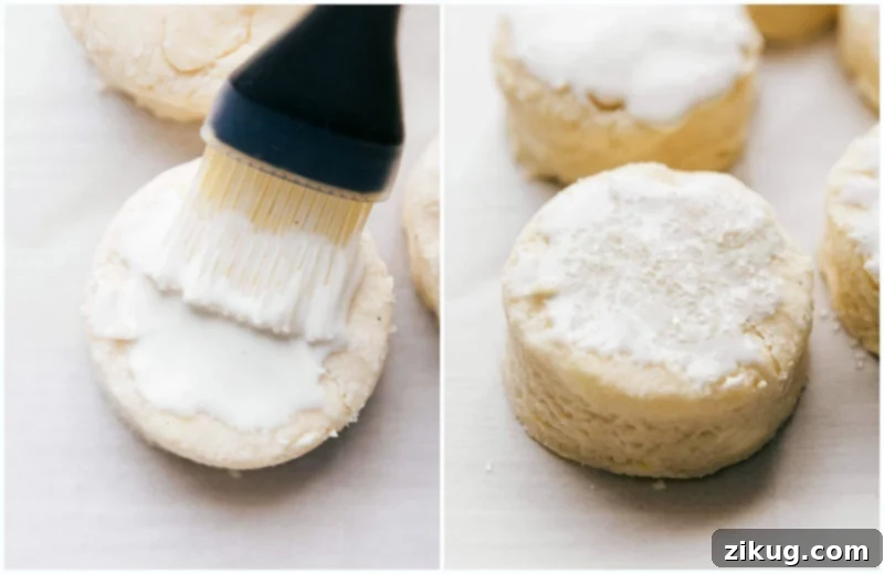 Adding Cream and Sugar to Biscuits Before Baking Heavy cream and coarse sugar being brushed and sprinkled on the tops of the biscuits before baking, enhancing their golden color and texture.
