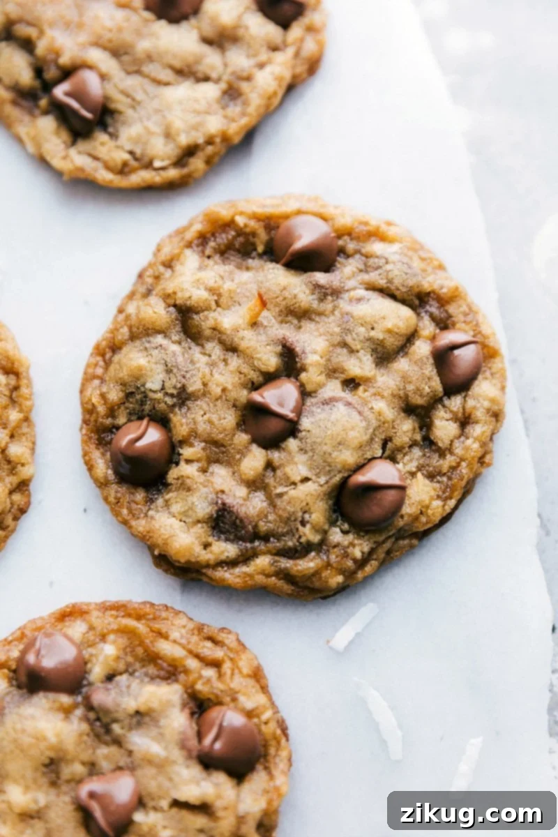 Freshly Baked Coconut-Oatmeal Cookies with Warm Chocolate Chips A batch of warm, golden-brown oatmeal coconut cookies, fresh from the oven, adorned with glistening chocolate chips on top. They promise a delightful treat.