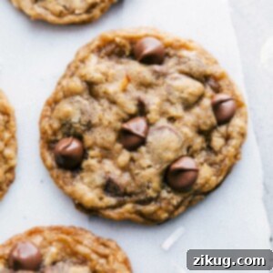 A batch of coconut oatmeal cookies, just out of the oven and baked to perfection, with warm chocolate chips on top, offering a delightful treat.