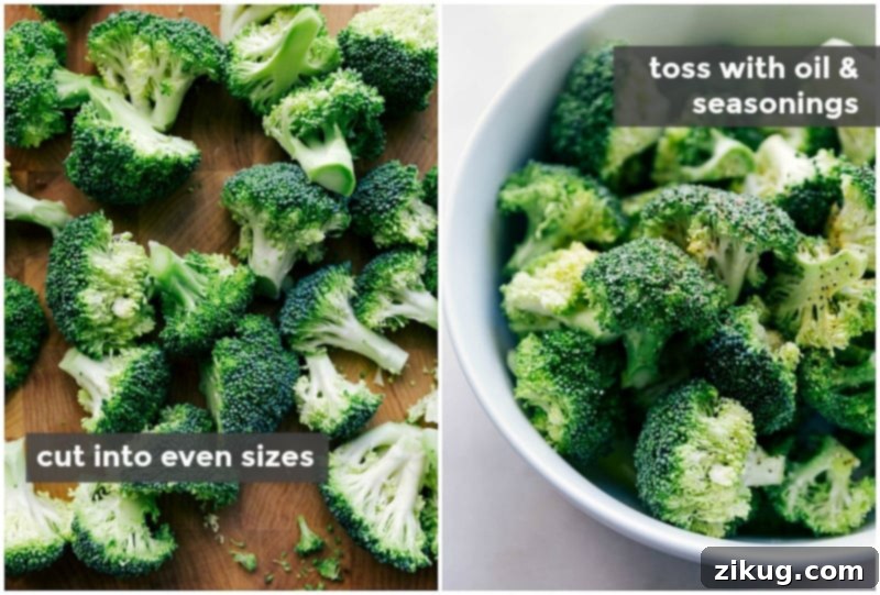 Preparing Broccoli for Roasting: Cutting into Even Pieces and Tossing with Oil and Seasonings Fresh broccoli pieces being cut into even sizes and tossed with oil and seasonings, the first step in the roasted broccoli recipe.