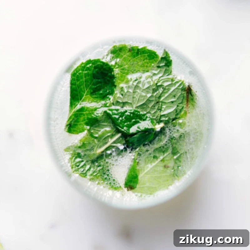 Ready-to-Drink Virgin Mojito The finished virgin mojito cocktail recipe, ready to be enjoyed, presented in a tall glass with fresh mint and lime slices.