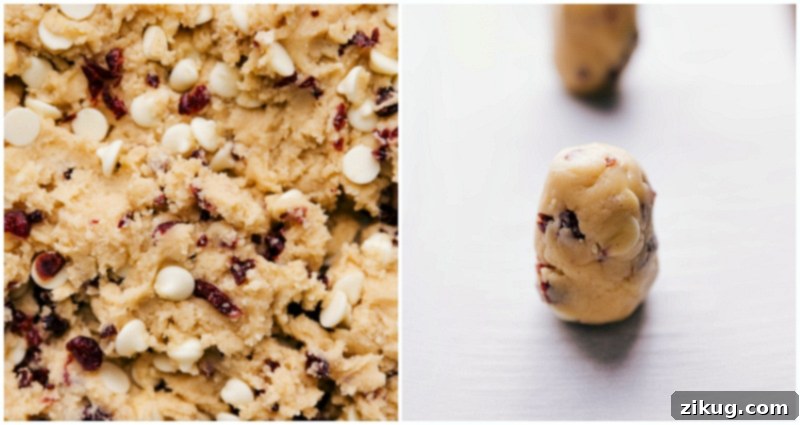 Cookie Preparation: Dough Rolled and Set on Sheet Pan for Baking Perfectly rolled cookie dough balls, expertly arranged on a sheet pan and prepped for their journey into the oven. Each ball promises a future delicious White Chocolate Cranberry Cookie.
