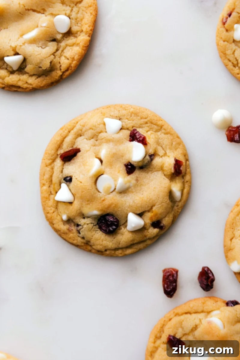 Deliciously Warm White Chocolate Cranberry Cookies - Freshly Baked and Ready to Enjoy Warm, freshly baked cranberry white chocolate cookies, artfully arranged and ready for immediate indulgence. Their rich colors and enticing aroma promise a delightful culinary experience.