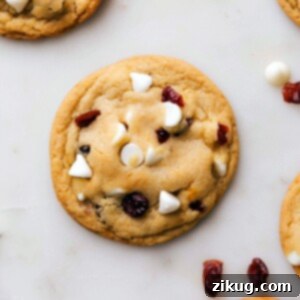 Cranberry White Chocolate Cookies 2 Warm, freshly baked cranberry white chocolate cookies, ready for indulgence.