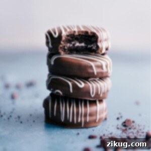 A close-up image of two perfectly crafted Chocolate Covered Oreos, one with colorful sprinkles and the other with a simple chocolate coating, stacked elegantly.