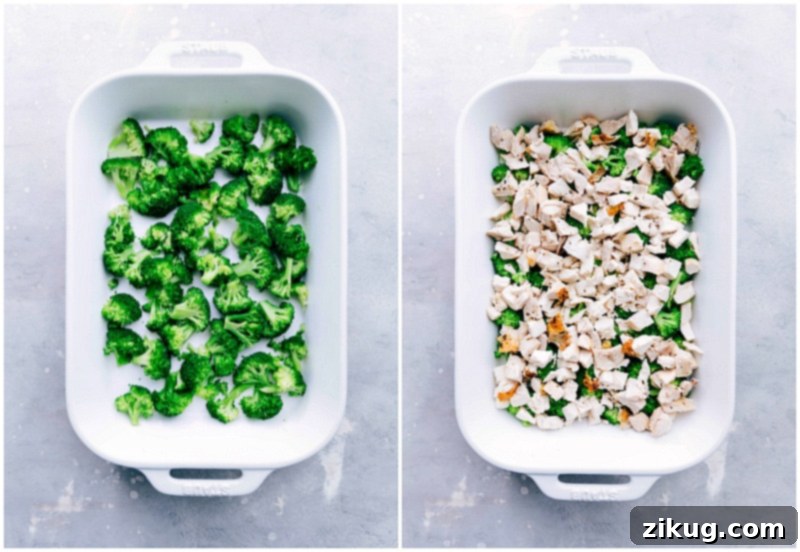 Broccoli and chicken being added to the casserole dish, ready for the creamy sauce.