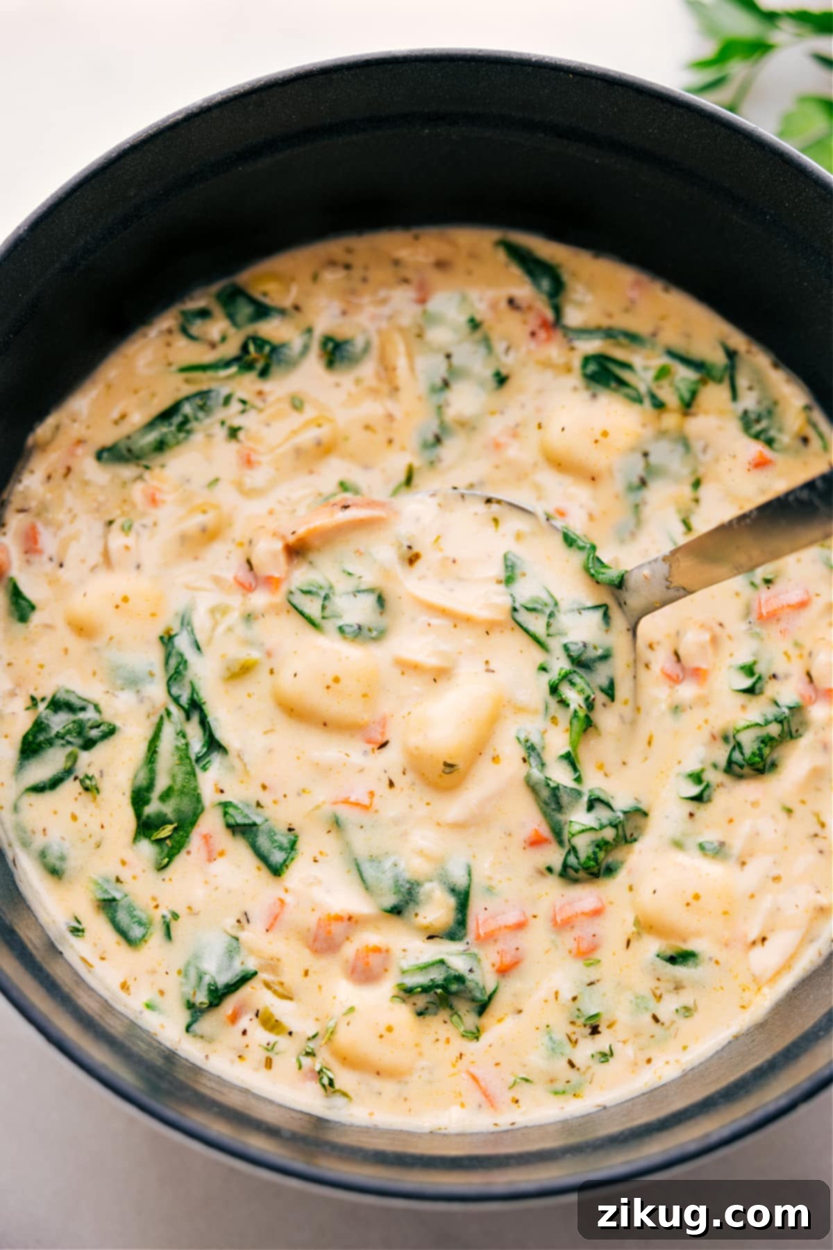 The Best Easy Chicken Gnocchi Soup Recipe A ladle lifts creamy Chicken Gnocchi Soup from a rustic pot, showcasing tender chicken, soft gnocchi, and vibrant vegetables.