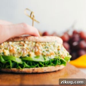 Curry Chicken Salad in a sandwich with lettuce and avocado, the perfect mix for a delightful meal.