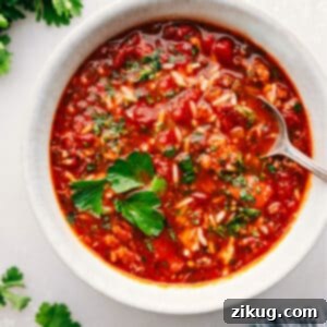 A close-up of Stuffed Pepper Soup garnished with herbs, ready to be served.