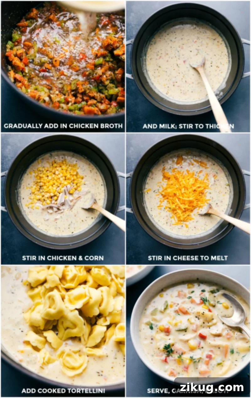 Preparing Creamy Chicken Tortellini Soup: Adding Broth, Cheese, Chicken, Corn, and Tortellini to Pot A visual guide showing chicken broth, freshly grated sharp cheddar cheese, shredded rotisserie chicken, frozen corn, and refrigerated tortellini being added sequentially to the simmering pot of creamy soup base, creating a rich and hearty meal.