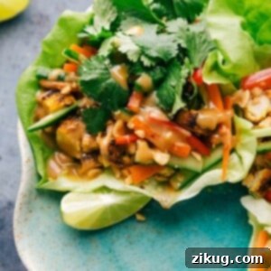 Plate of peanut chicken lettuce wraps, featuring vibrant lettuce cups filled with savory chicken and peanut sauce.