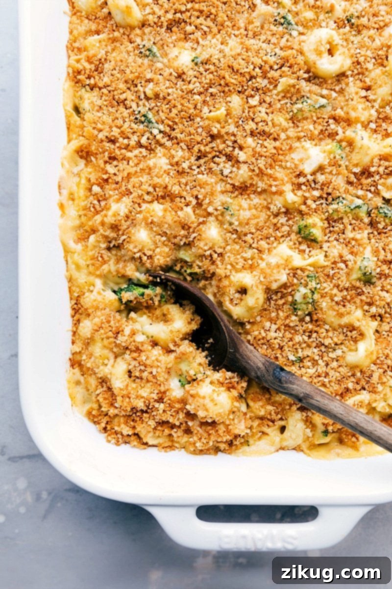 Freshly Baked Chicken Tortellini Casserole - Golden and Tempting Straight from the Oven Freshly baked Chicken Tortellini Casserole, golden and tempting, straight from the oven with a bubbly crust.