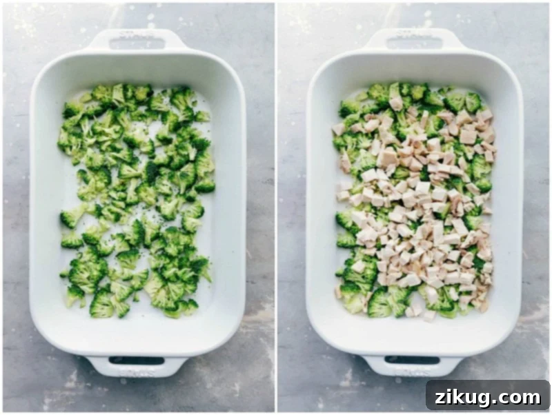 Casserole Preparation: Adding Broccoli and Meat Layers to the Dish Preparing the casserole: layers of broccoli and succulent chicken pieces being arranged in the baking dish.