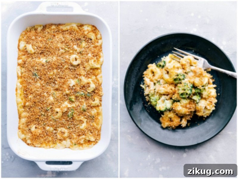 Hearty Chicken Tortellini Casserole: Served and Ready for a Satisfying Meal The finished Chicken Tortellini Casserole served on a plate, highlighting its hearty ingredients and inviting texture, ready for a satisfying meal.