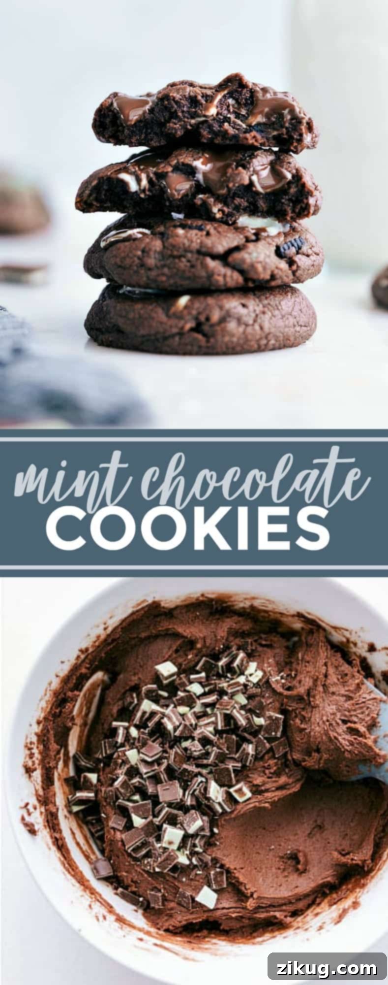 Everyone BEGS for the recipe for these mint chocolate chip cookies! They're bursting with flavor and so simple to make thanks to a couple of shortcuts! via chelseasmessyapron.com #cookie #mint #andes #chocolate #chip #dessert #holiday #easy #brownie #mix #shortcut
