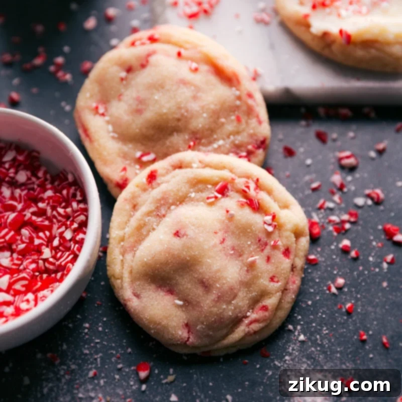 Festive Peppermint Sugar Cookies 6 Beautifully frosted Peppermint Sugar Cookies garnished with vibrant crushed peppermint candy.