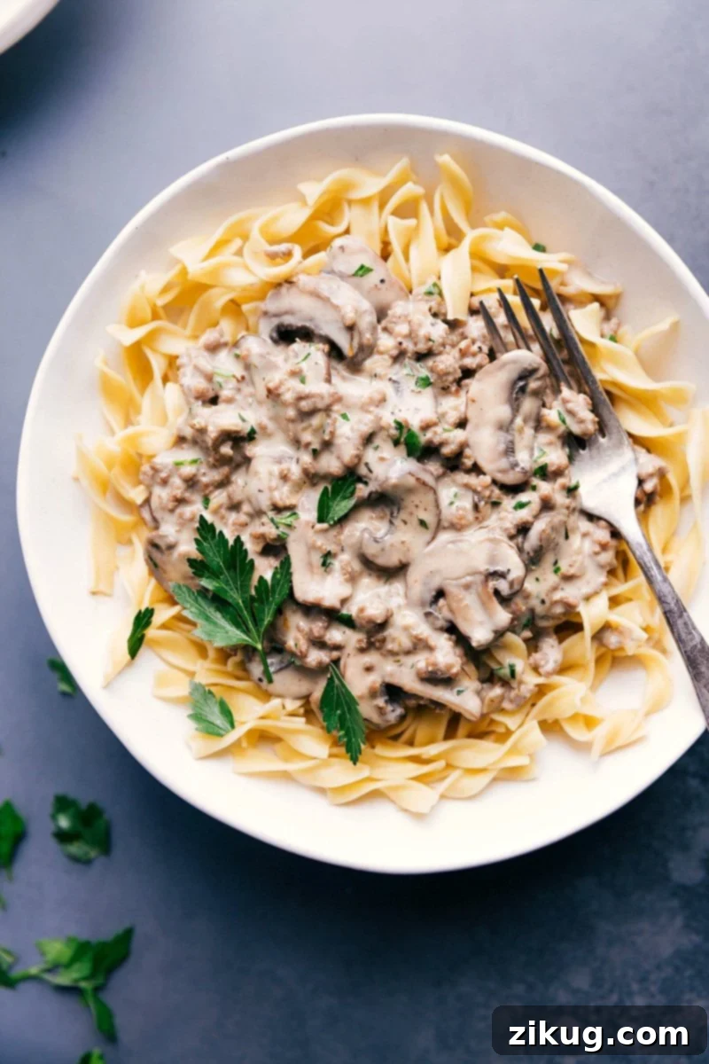 Hearty Ground Beef Stroganoff served over tender egg noodles, garnished with fresh parsley.