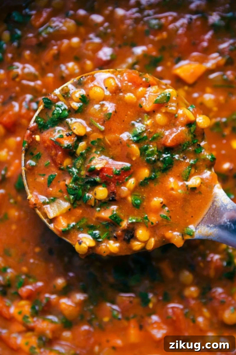 Serving Ladle with a Portion of Hearty Lentil Soup A ladle containing a scoop of lentil soup, ready to be served.