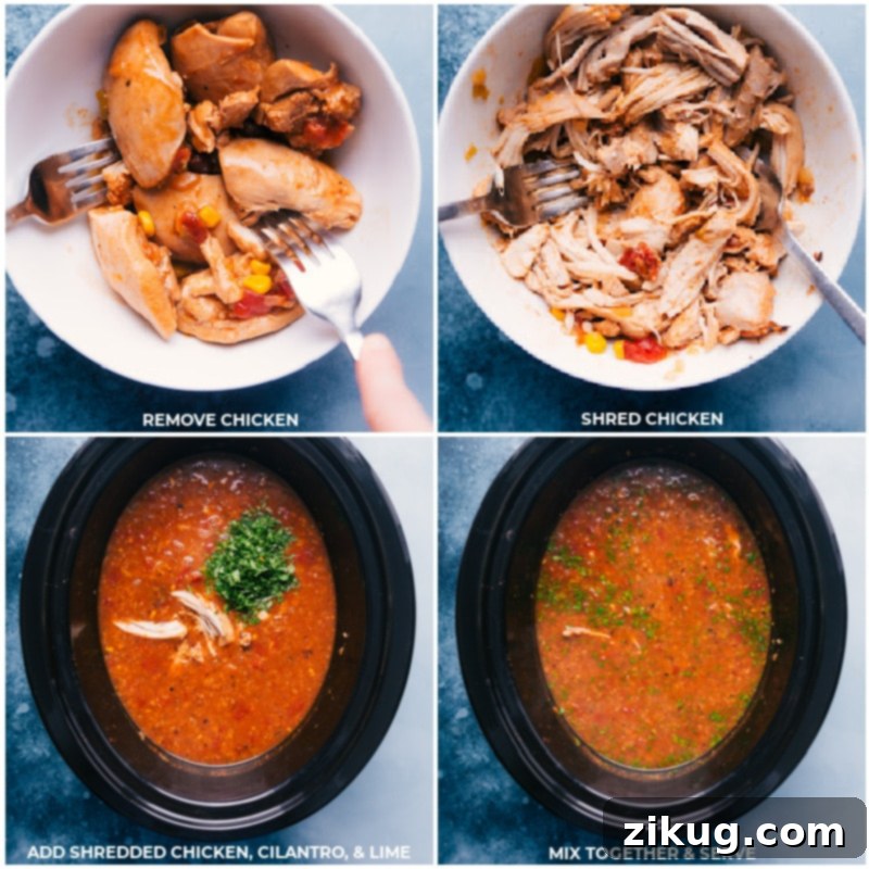 Step-by-step images demonstrating how to remove the perfectly cooked chicken from the slow cooker, shred it effortlessly with two forks, and then return it to the Healthy Chicken Tortilla Soup to meld with all the savory flavors. Process shots of chicken being removed, shredded, and returned to the slow cooker for Healthy Chicken Tortilla Soup