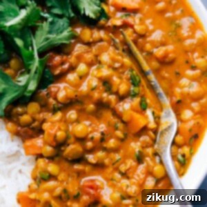 Easy Weeknight Lentil Curry 3 Savory lentil curry in a dish with a fork, accompanied by fresh cilantro and a side of rice.