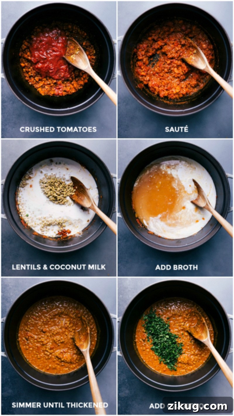 Simmering Key Ingredients to Perfect Consistency for Lentil Curry A close-up view of a pot filled with cooking ingredients: crushed tomatoes, brown lentils, and creamy coconut milk are simmering together, slowly thickening into a rich, aromatic curry sauce.
