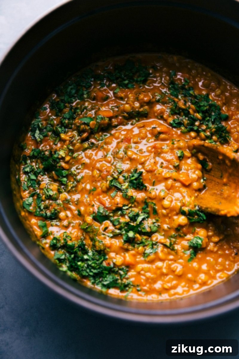 Hearty, Ready-to-Serve Lentil Curry in Cooking Pot A large cooking pot filled to the brim with a rich, aromatic lentil curry, ready to be served. The warm, comforting dish is garnished with fresh herbs, highlighting its readiness for a delicious meal.