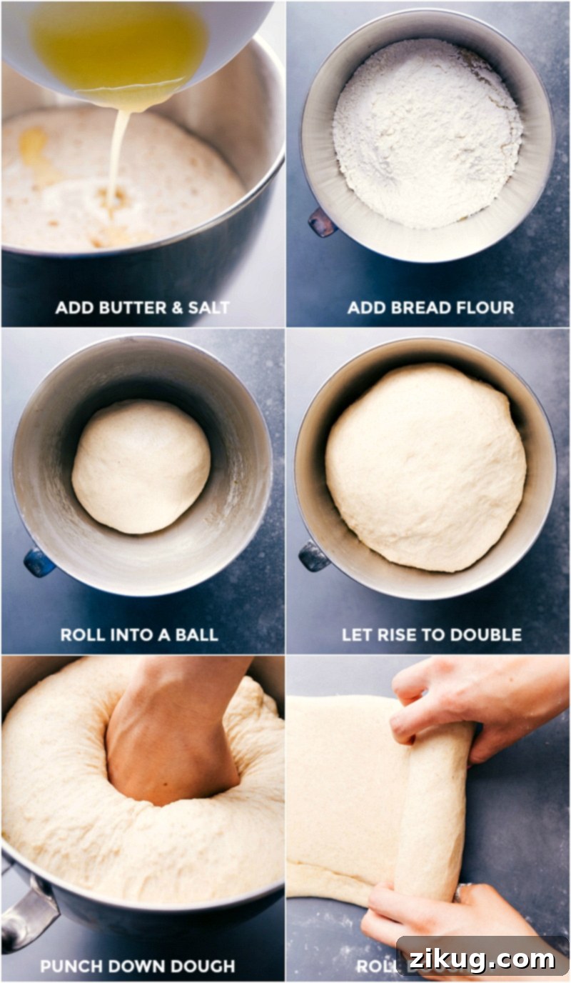 Honey Whole Wheat Bread Recipe: Dough Mixing, Rising, and Rolling Process Butter, salt, flour added to dough, then shaped, left to rise, and rolled for the honey whole wheat bread recipe.