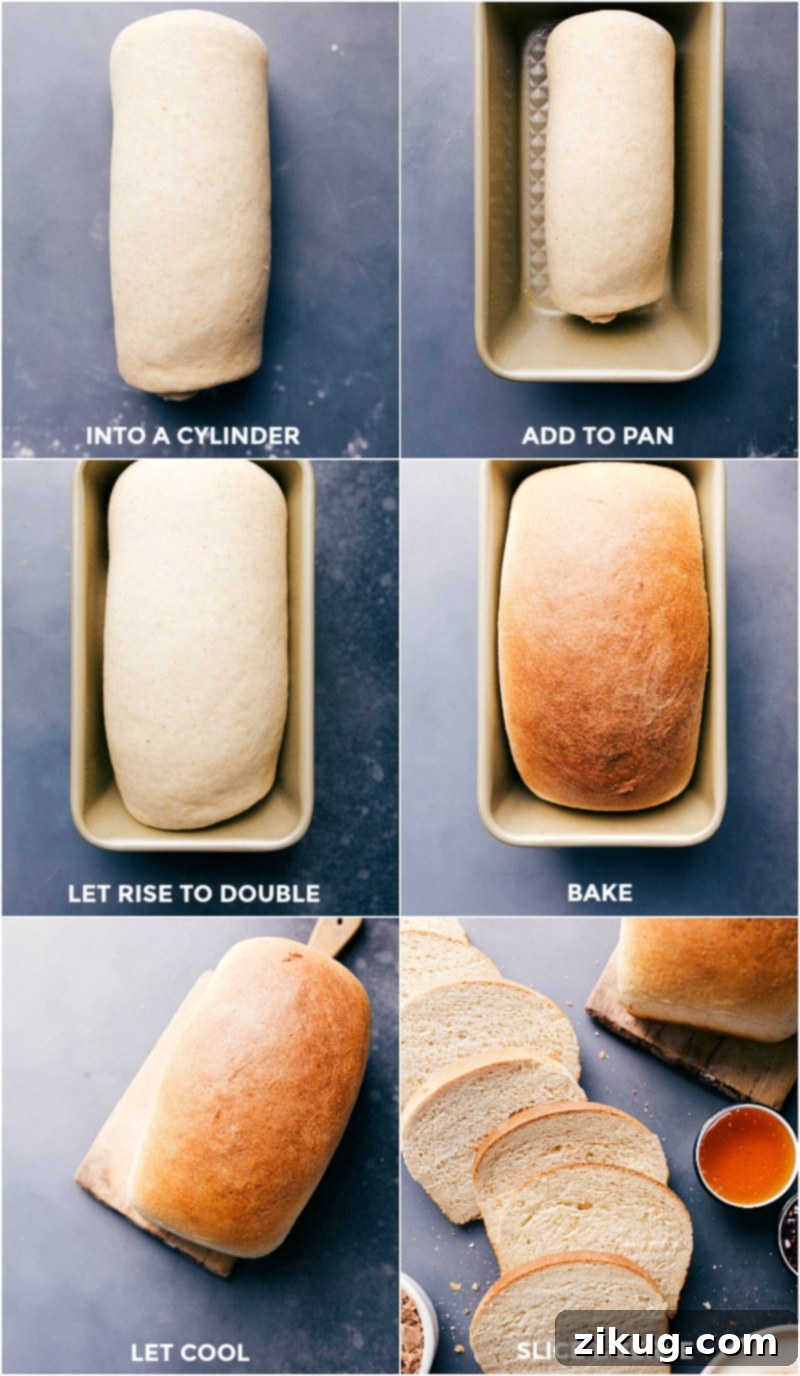 Baking Honey Whole Wheat Bread: Rolling, Rising, Baking, and Slicing Steps Dough rolled into a cylinder, placed in a prepared pan, left to rise, then baked and sliced.