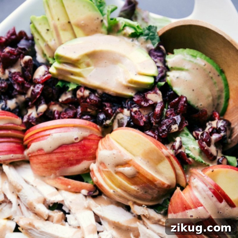 Creamy Balsamic Dressing Enhancing the Flavor of Salad Ingredients Creamy balsamic dressing beautifully coating a salad ensemble featuring avocado, fuji apple, sliced chicken, dried cranberries, and fresh lettuce.