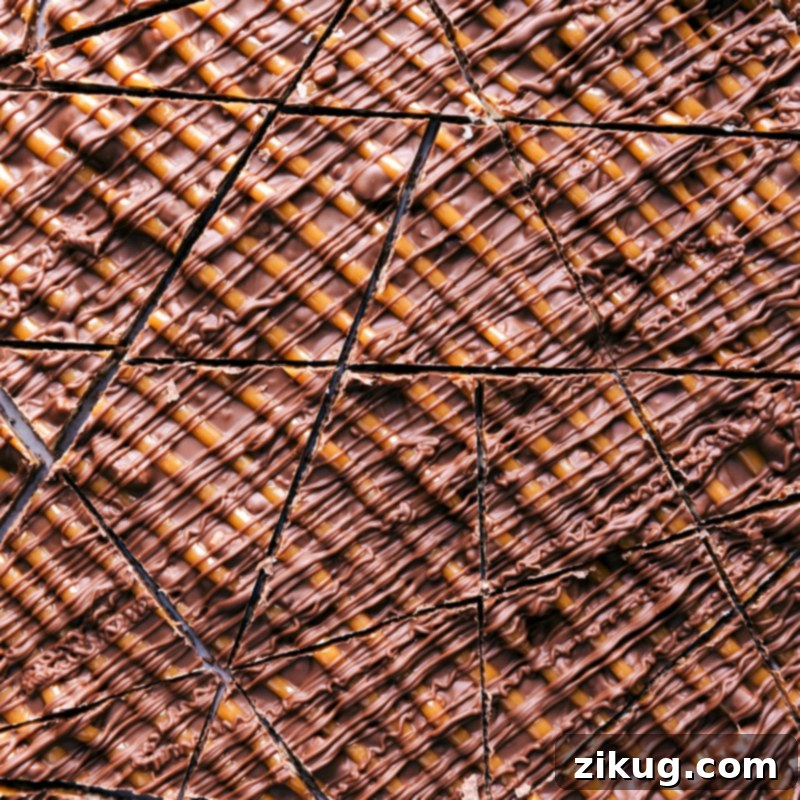 Close-up view of a tray of freshly made Turtle Bark, artfully cut into irregular pieces, ready to be served or packed as a gift.