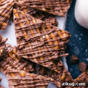 A close-up of a single piece of Turtle Bark showcasing its delicious layers of chocolate, caramel, and pecans.
