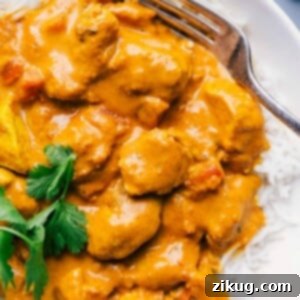 Plate full of butter chicken atop rice, ready for eating.