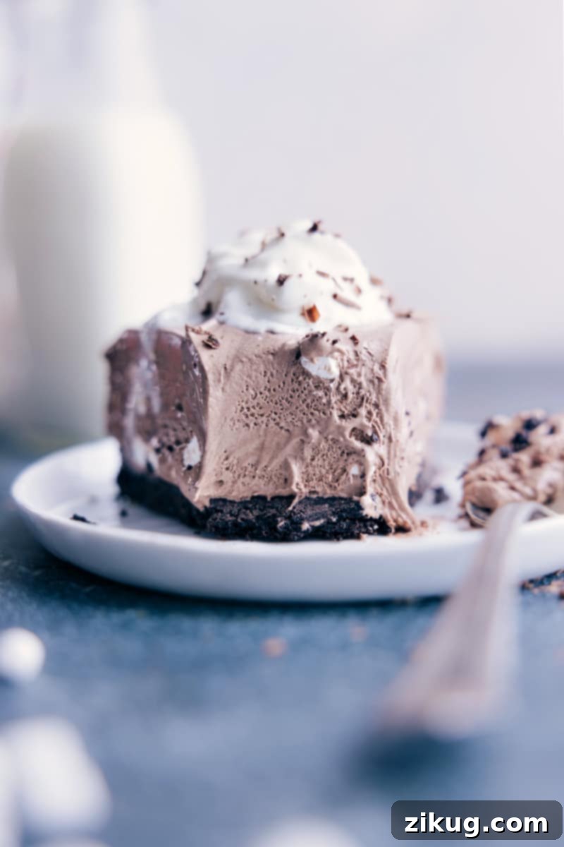 A beautifully presented slice of Frozen Hot Chocolate Cheesecake, topped with a generous swirl of whipped cream and a sprinkle of chocolate shavings.