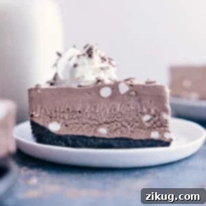 Frozen Hot Chocolate Cheesecake